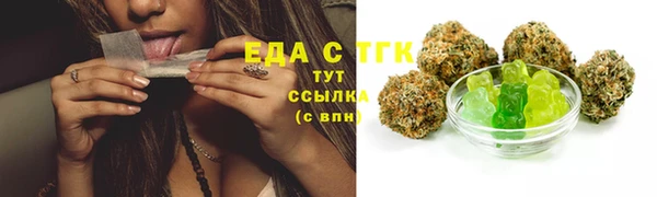 гашик Коряжма