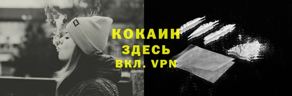 гашик Коряжма