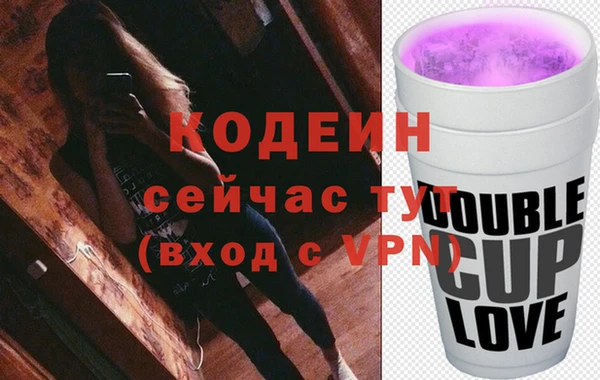 стафф Корсаков