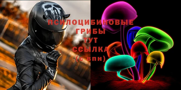 ALPHA PVP Костерёво
