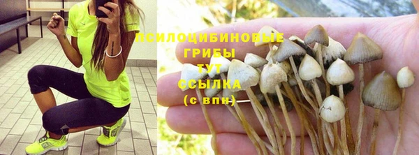 прущая мука Беслан