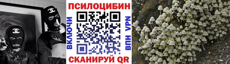 Псилоцибиновые грибы Psilocybine cubensis  Лобня 